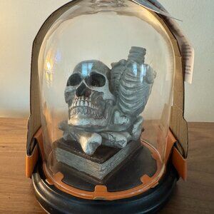 Martha Stewart Halloween 8 in LED Lighted Skull in Cloche Skeleton Table Top Déc
